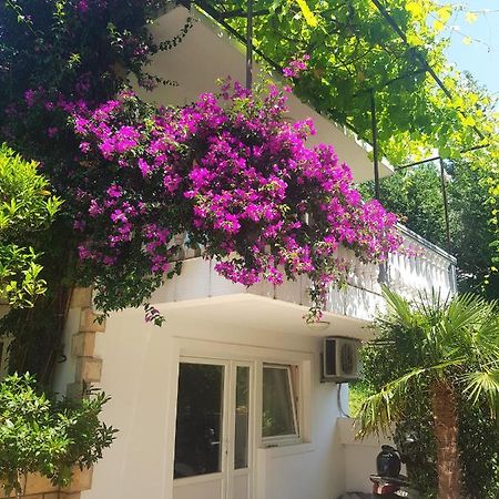 Apartments Irena Bečići Εξωτερικό φωτογραφία